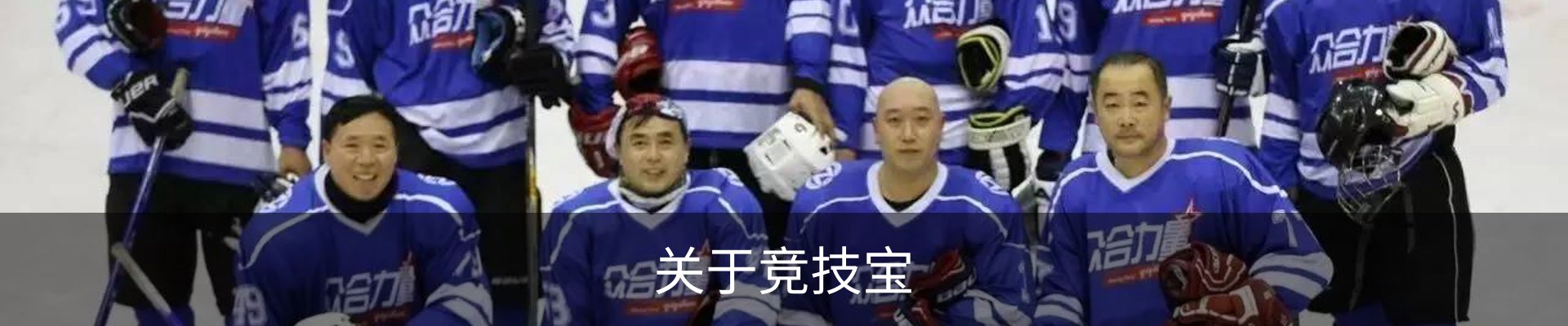 关于竞技宝